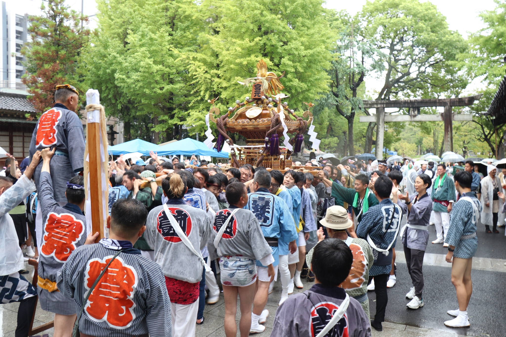 神社の境内で、大勢の担ぎ手に担がれる向島一丁目の神輿